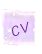 curriculum vitae