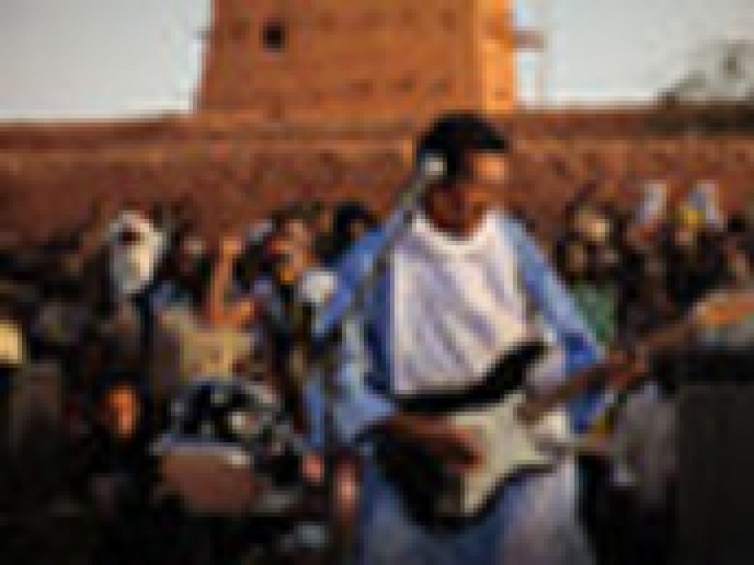 12-04_bombino_1355235020.jpg
