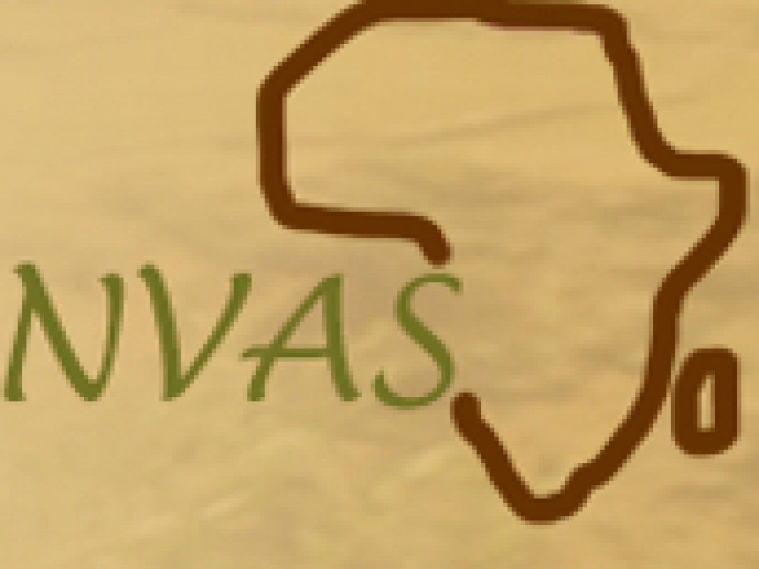 23-11-afrikastudiedag-nvas_1382450436.jpg