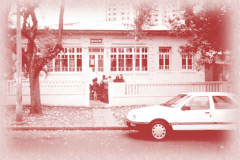 N&uacute;cleo de Arte