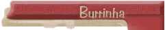 Burrinha